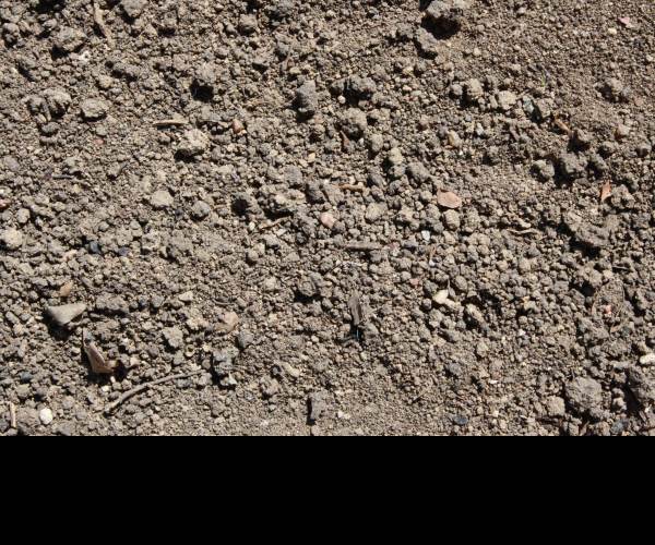 DiRT