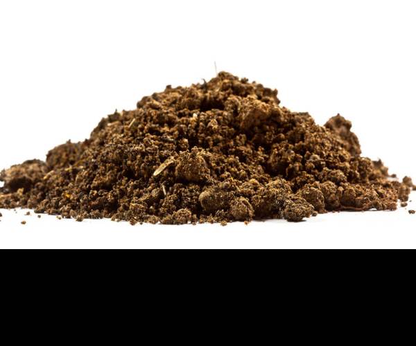 DiRT