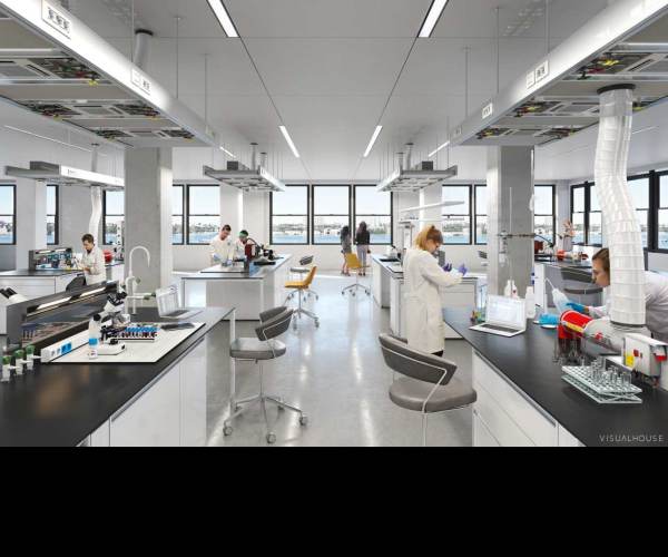 The Lab