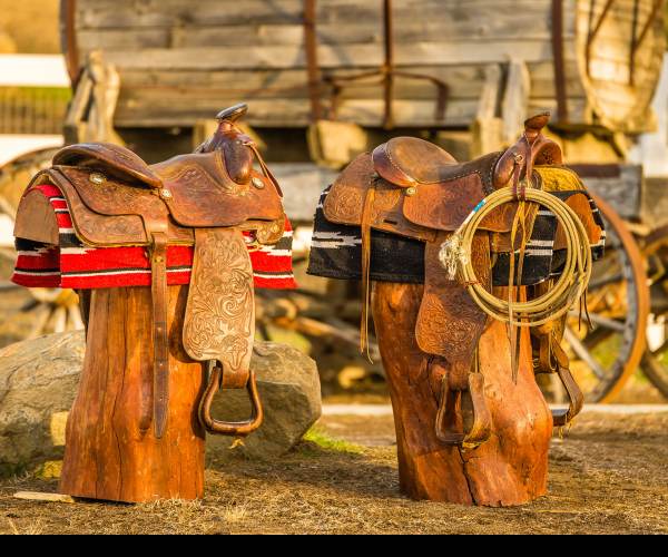 Dillon's Rolling Western