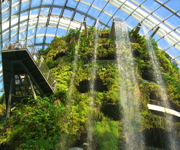 Cloud Gardens