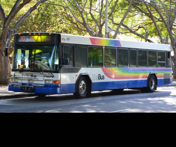 The Bus