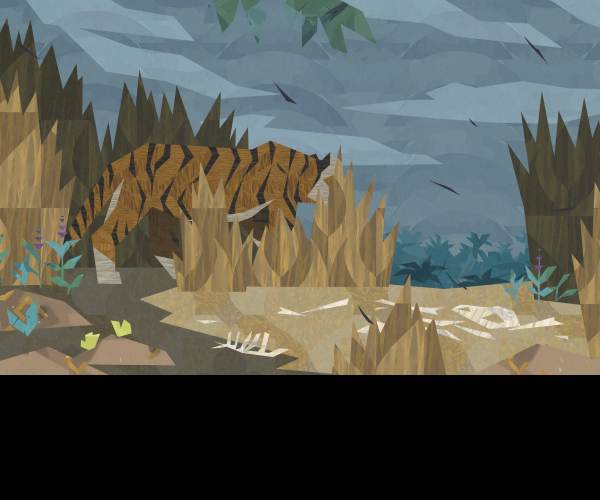 Shelter 3
