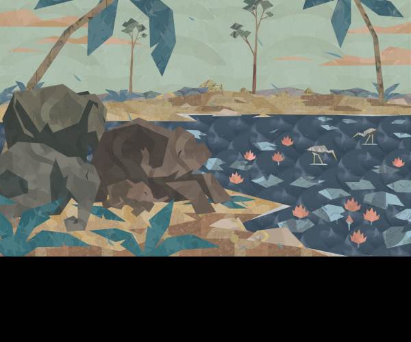 Shelter 3