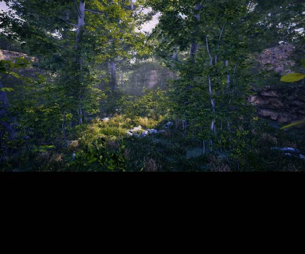 The Fabled Woods