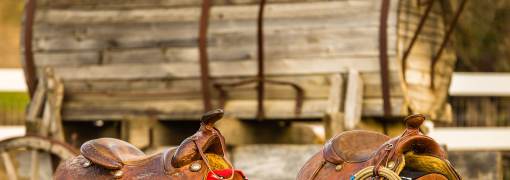 Dillon's Rolling Western
