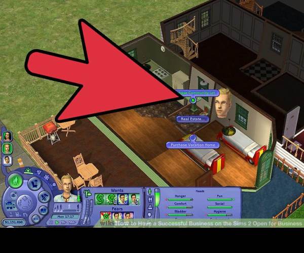Sims 2: Open for Business