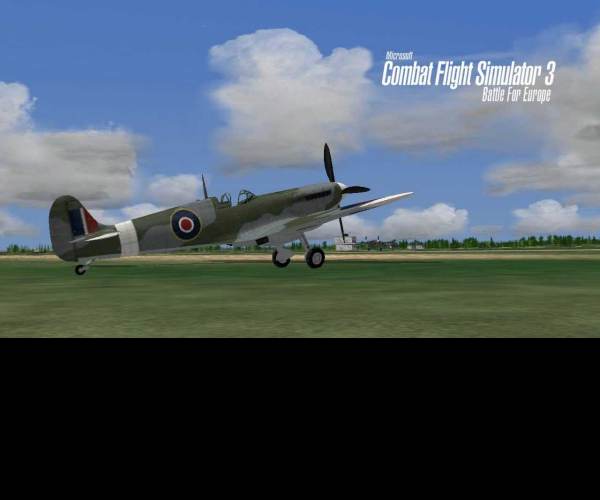 Combat Flight Simulator 3