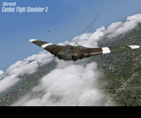 Combat Flight Simulator 3