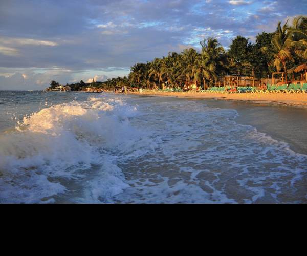 Beach Life
