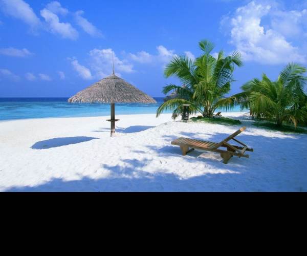 Beach Life