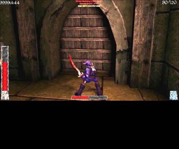 Rune: Hals of Valhalla