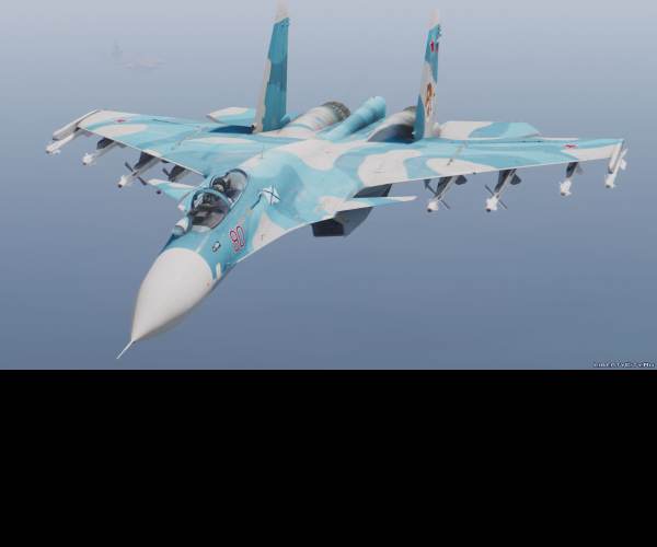 Flanker 2.5 multiplayer