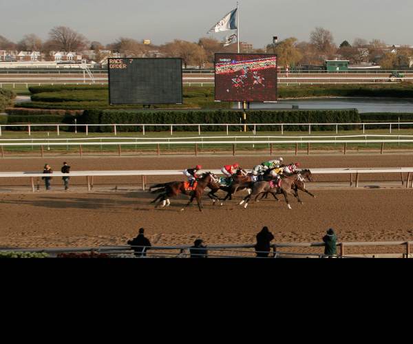 NY Race