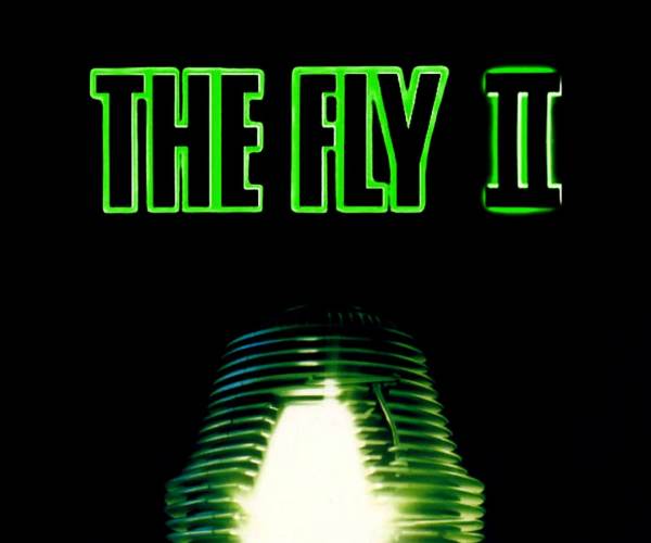 Fly! 2