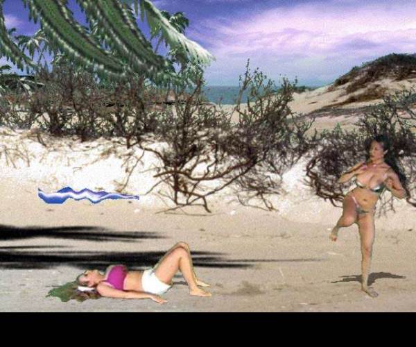 Bikini Karate Babes