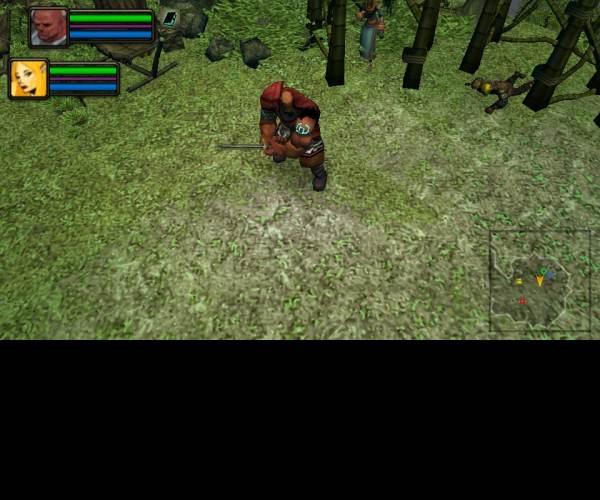 Dungeon Siege: Throne of Agony
