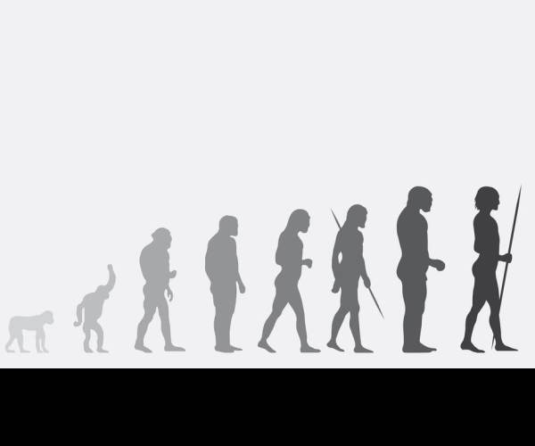 Evolution