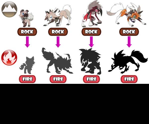Evolution