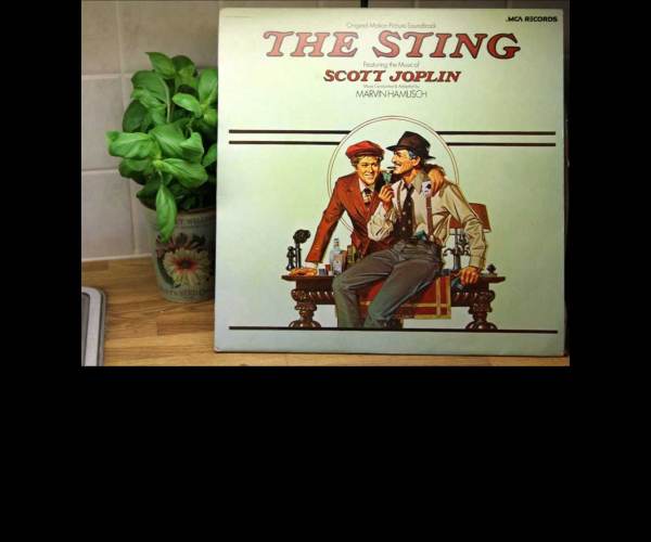 The Sting!
