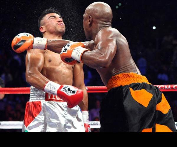 Knockout Boxing