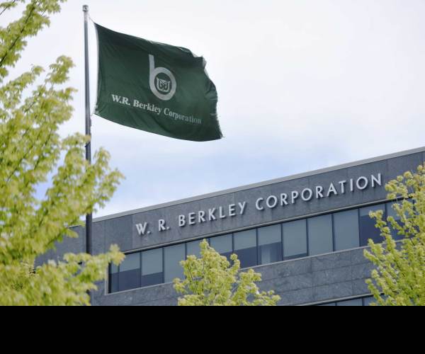 W Corporations