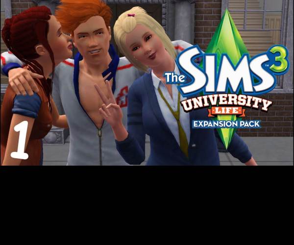 The Sims: Life Stories