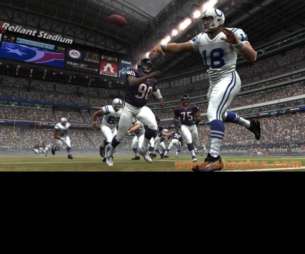 Madden NFL 07 (Wii)