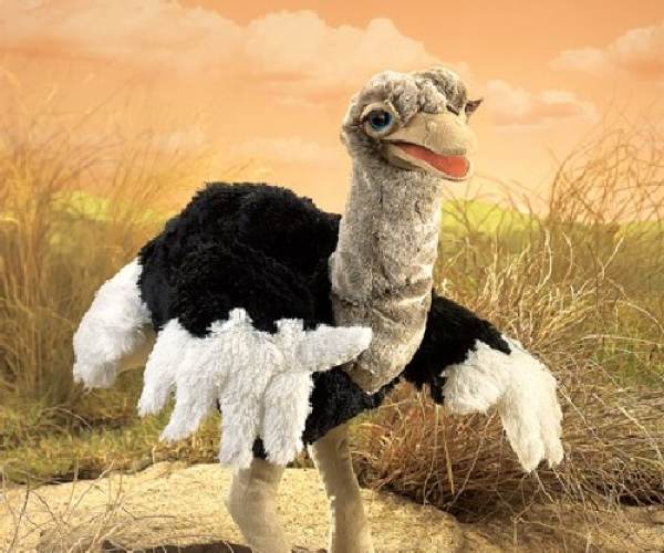 Pštros Turbo (Ostrich Runner)