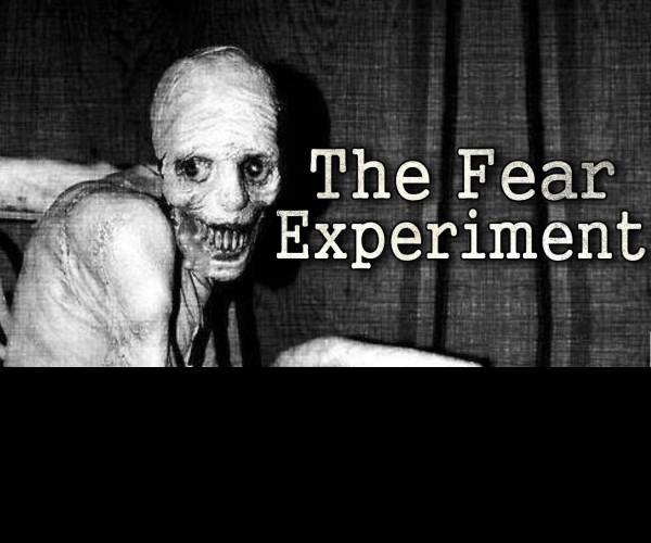 The Experiment