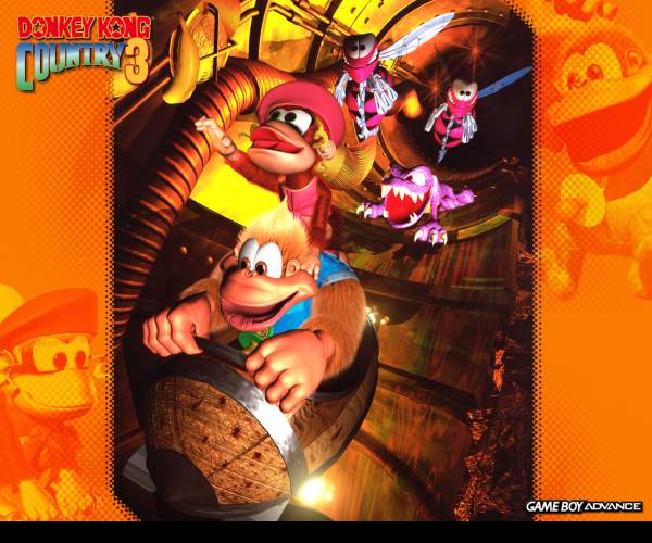 Donkey Kong Country 3