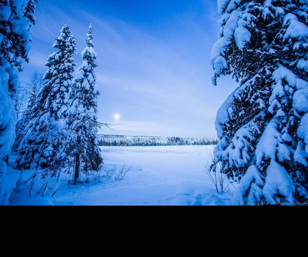 Cold Winter