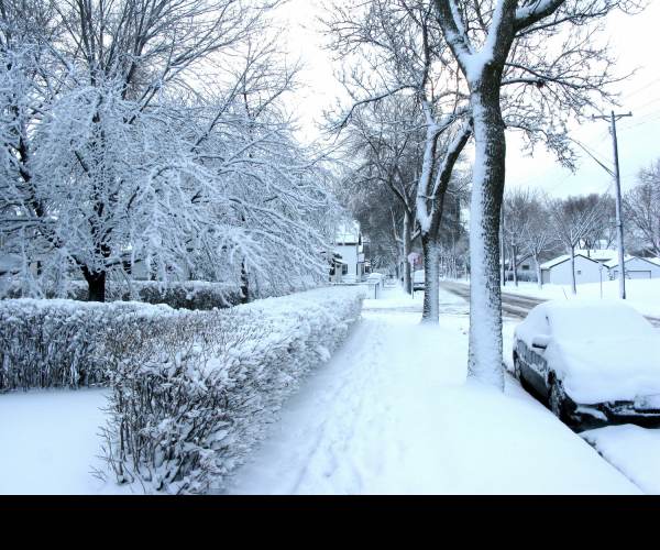 Cold Winter