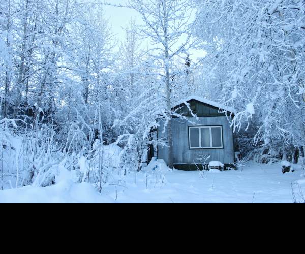 Cold Winter