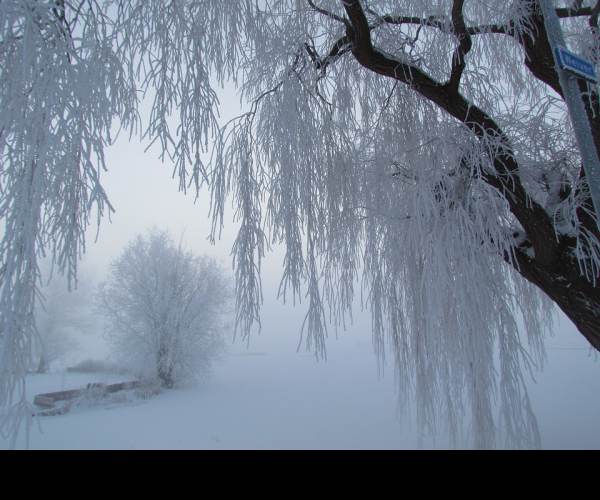 Cold Winter