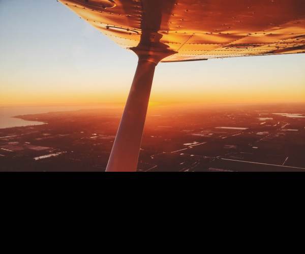 Dare To Fly