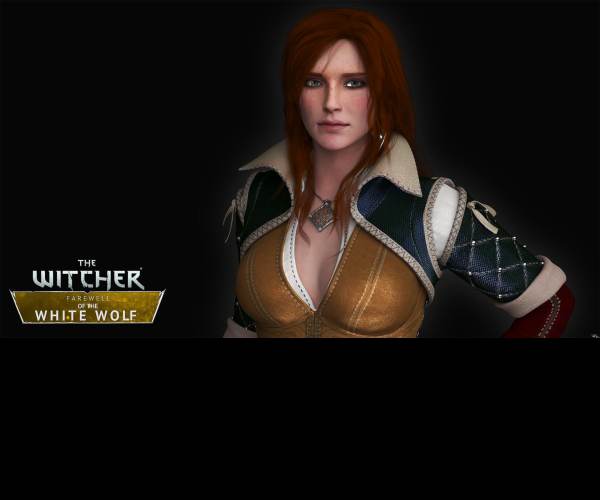 The Witcher Farewell of the White Wolf