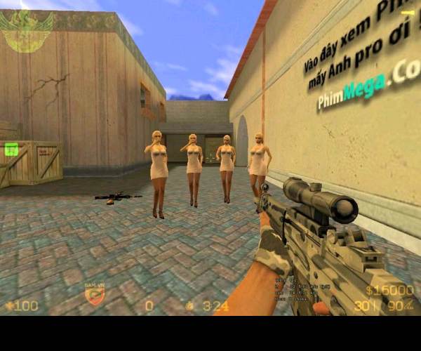 Counter-Strike v1.1