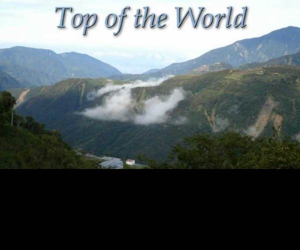 To The Top