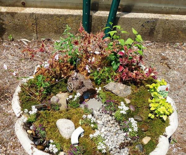 Miniature Garden