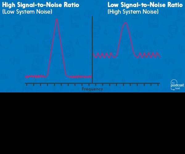 Signal to Noise