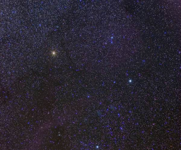 ORION