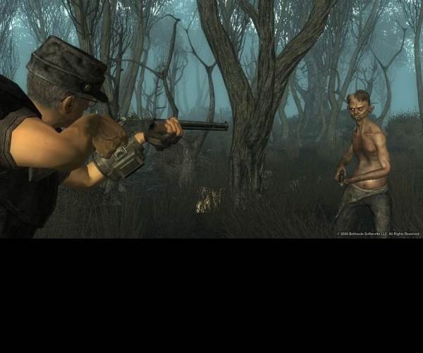Fallout 3: Point Lookout