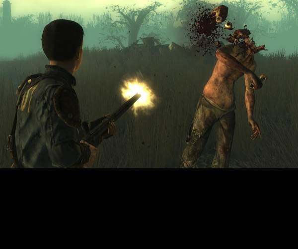 Fallout 3: Point Lookout